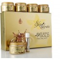 SKIN SECRETS 24 CARAT GOLD FACIAL KIT 310g
