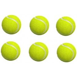 Tiger spin Light Cricket Training Ball  (Pack of 6)