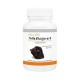 Shivalik Herbals Shilajeet 500mg Capsule Pack of 2
