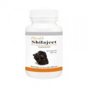Shivalik Herbals Shilajeet 500mg Capsule Pack of 2