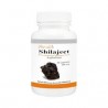 Shivalik Herbals Shilajeet 500mg Capsule Pack of 2