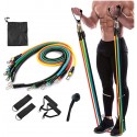Voltonix Resistance Bands Set (11pcs)