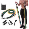 Voltonix Resistance Bands Set (11pcs)