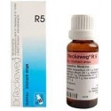 Dr. Reckeweg R5 Stomach and Digestion Drop - 22ml