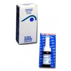 SBL Cineraria Maritima Euphrasia Eye Drop (Pack Of 5)