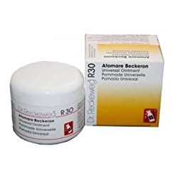 Dr. Reckeweg R30 Universal Ointment