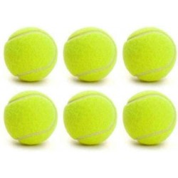Tiger spin Light Cricket Training Ball - (Pack of 6)