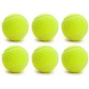 Tiger spin Light Cricket Training Ball - (Pack of 6)