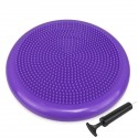 IRIS Air Stability Wobble Cushion,33 cm/13 inch Diameter, Balance Disc, Pump Included (Assorted)
