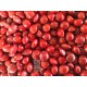 Coral Wood Tree Acacia Manchadi Red Lucky Seeds Circassian bean