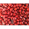 Coral Wood Tree Acacia Manchadi Red Lucky Seeds Circassian bean
