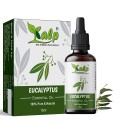 Kalp Eucalyptus Oil 15 ml
