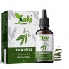 Kalp Eucalyptus Oil 15 ml