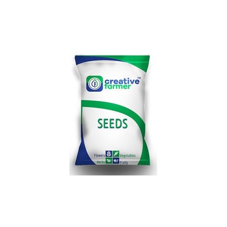 Creative Farmer Bonsai Suitable Seeds, (Best Combo 8 Types By Seed) - 1Kg per packet