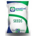 Creative Farmer Bonsai Suitable Seeds, (Best Combo 8 Types By Seed) - 1Kg per packet