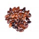 RK Seeds - Mimusops elengi seeds - (100 g)