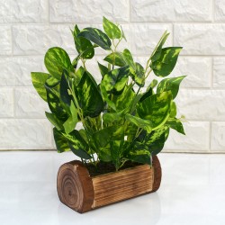 Fancy Mart Artificial Plants / Flowers with Wooden Pot - (Green, 1 Piece)