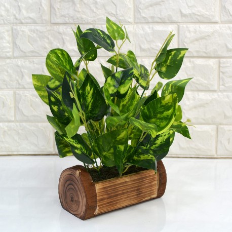 Fancy Mart Artificial Plants / Flowers with Wooden Pot - (Green, 1 Piece)