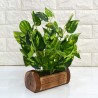Fancy Mart Artificial Plants / Flowers with Wooden Pot - (Green, 1 Piece)