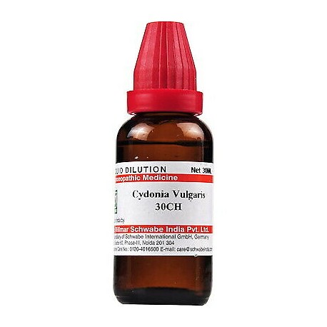 Dr Willmar Schwabe India Cydonia Vulgaris Dilution 30 CH - Pack Of 3