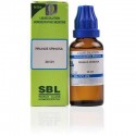 SBL Prunus Spinosa 30 CH Dilution - (30ml) - Pack Of 5