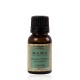 Kama Ayurveda Eucalyptus Pure Essential Oil 12ml