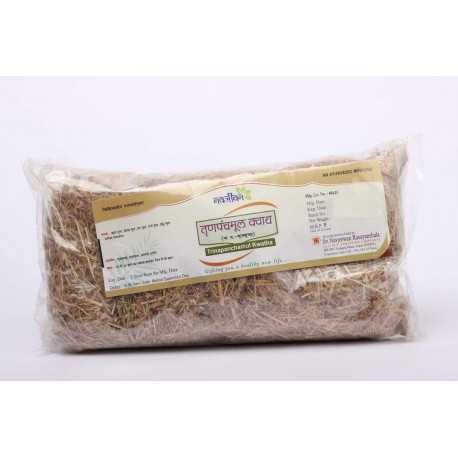 Navjeewan TrinpanchAmool Kwath, (100Gm) - Pack Of 2