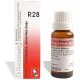 Dr. Reckeweg R28 Dysmenorrhea And Amenorrhea Drop
