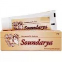 Bangalore Bio-Plasgens Soundarya Complexion Cream - 30gm