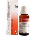 Dr. Reckeweg R6 Influenza Drop 22ml Pack Of 2