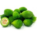 Gayathri Seeds Desi Spiny Gourd Kantola Kankoda - (Pack of 200 Seeds)