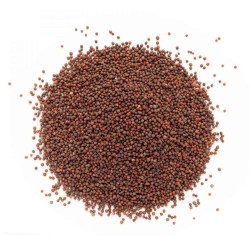 Brown Mustard Seeds Gavran Mohri (Small Rai) 250 gm