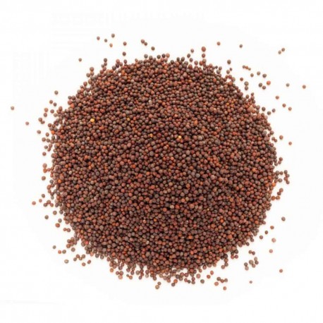 Brown Mustard Seeds Gavran Mohri (Small Rai) 250 gm