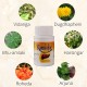 Kamalahar Capsules Ayurvedic Formula For Liver Detox  100 Capsules X 3 Bottles