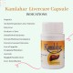 Kamalahar Capsules Ayurvedic Formula For Liver Detox  100 Capsules X 3 Bottles