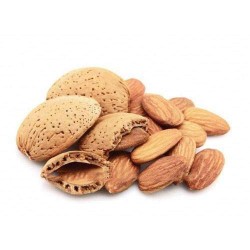 Shell Almond Badam With Shell 500gm