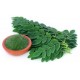Moringa Leaves Powder| Drumstick powder| Made using pure moringa leaves - 200gm