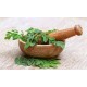 Moringa Leaves Powder| Drumstick powder| Made using pure moringa leaves - 200gm