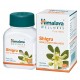 Himalaya Shigru Bone & Joint Wellness - 60 Tablet (Pack OF 3)