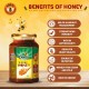 Zandu Pure Honey - 500gm