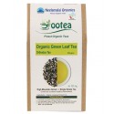 Ootea Certified Organic Long Leaf Green Tea - 100gm (Pack of 10)