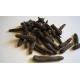 Long Pepper Whole / Pippali - 100gm