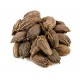 Minimal Black Cardamom Whole (Big Elaichi) - 150gm