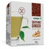 Girnar Instant Premix Soothing Ginger - 150gm