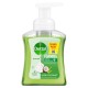 Dettol Foaming Handwash Pump Aloe Coconut - 250ml