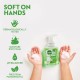 Dettol Foaming Handwash Pump Aloe Coconut - 250ml