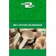Dry Oyster Mushroom - 1kg