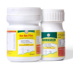 Ayush Bye-Bye Piles Ayurvedic Capsules & Hemorrhoids - A Unique Remedy (100gm each)
