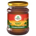 Organic India Wild Forest Honey - 250gm (Pack of 2)