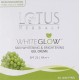 Lotus Herbals Whiteglow Skin Whitening And Brightening Gel Cream SPF 25 - 60g